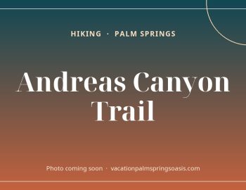 Andreas Canyon Trail