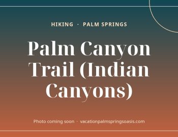 Palm Canyon Trail (Indian Canyons)
