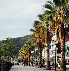 A row of palm trees lines a bustling street with people walking, parked scooters, and buildings on one side, set against a backdrop of green hills under a cloudy sky.