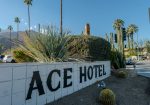 Sign for Ace Hotel with surrounding desert plants, including cacti and agave, under a clear blue sky. Palm trees are visible in the background.