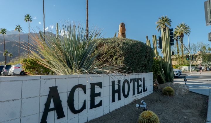 Sign for Ace Hotel with surrounding desert plants, including cacti and agave, under a clear blue sky. Palm trees are visible in the background.