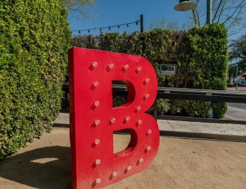 birba