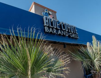 blue_coyote