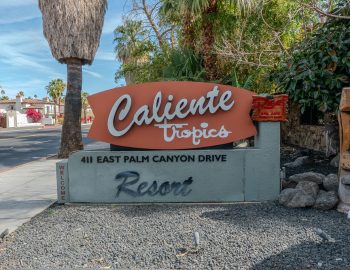 caliente_tropics