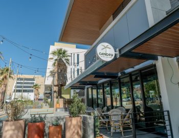 canopy_lounge