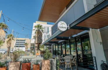 canopy_lounge