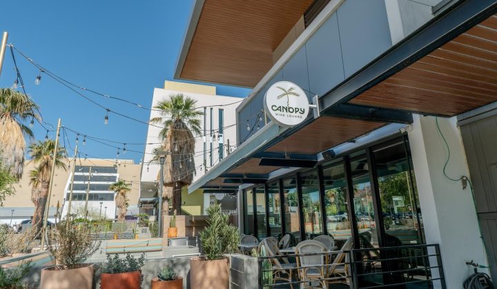 canopy_lounge
