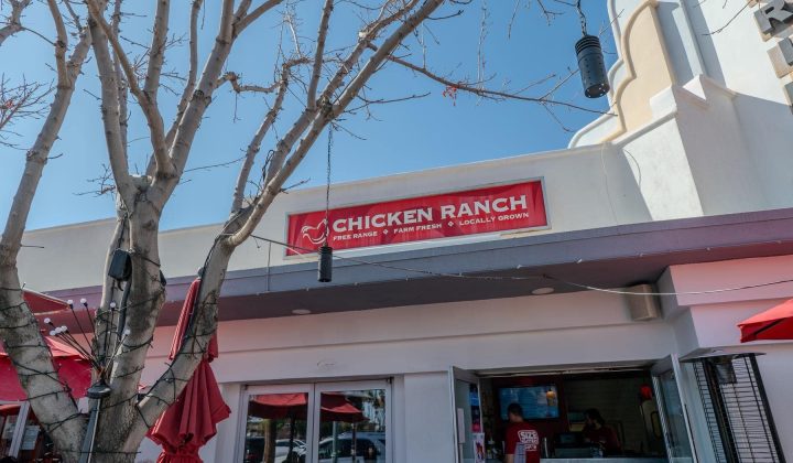 Exterior of a restaurant with a sign reading "Chicken Ranch" underneath a leafless tree and red umbrellas.