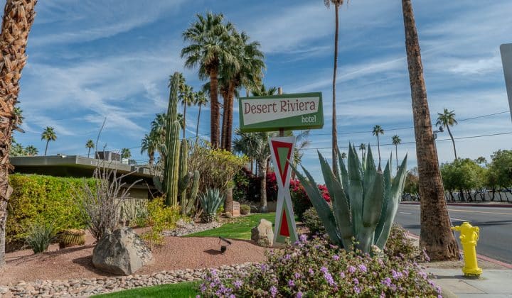 Sign reading "Desert Riviera Hotel" surrounded by palm trees, cacti, and flowers under a blue sky.