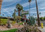 Sign for Desert Riviera Hotel amidst desert landscaping with tall palm trees, cacti, and other greenery under a clear blue sky.