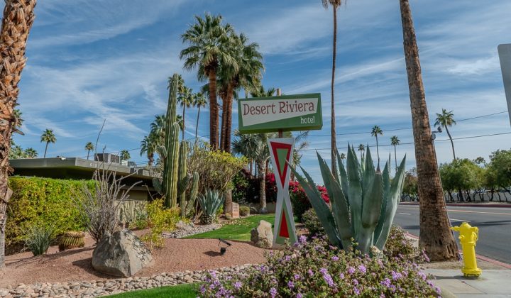 Sign for Desert Riviera Hotel amidst desert landscaping with tall palm trees, cacti, and other greenery under a clear blue sky.