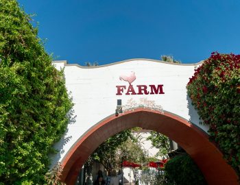 farm