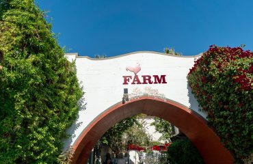 farm
