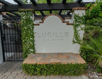 lucille_palm_springs
