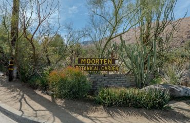 moorten_botanical_garden