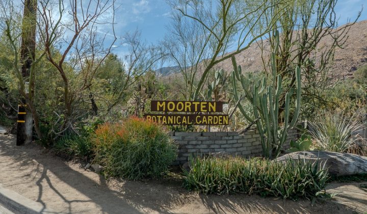 moorten_botanical_garden