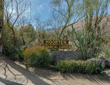 moorten_botanical_gardens