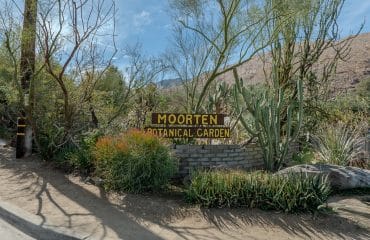 moorten_botanical_gardens