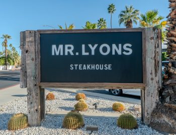 mr_lyons_day