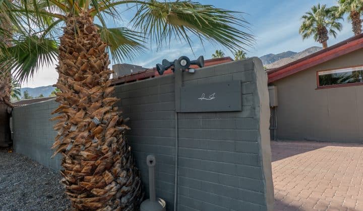 Outdoor shower next to a palm tree and grey brick wall with a drawing of two birds, set against a backdrop of mountains and blue sky.