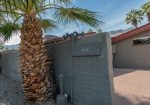 A brick wall with a mounted binocular viewfinder stands beside a palm tree, with mountains in the background.