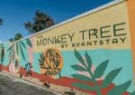 Colorful mural on a wall features large leaves and a monkey graphic, with the text "The Monkey Tree by Avantstay.
