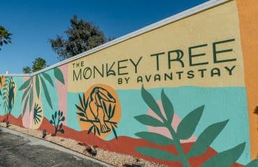 the_monkey_tree