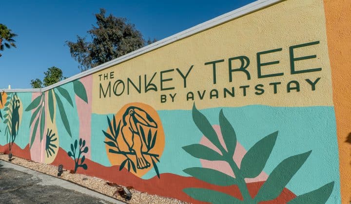 Colorful mural on a wall features large leaves and a monkey graphic, with the text "The Monkey Tree by Avantstay.