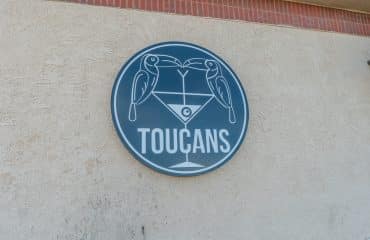 toucans
