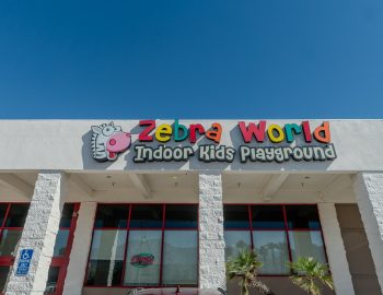 zebra_world_indoor_playground