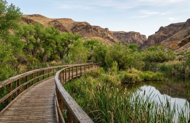 Big Morongo Canyon Preserve in Morongo Valley, California
