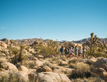 Desert Institute (Joshua Tree National Park Association) in Twentynine Palms, California
