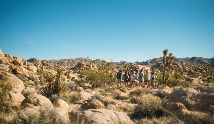 Desert Institute (Joshua Tree National Park Association) in Twentynine Palms, California