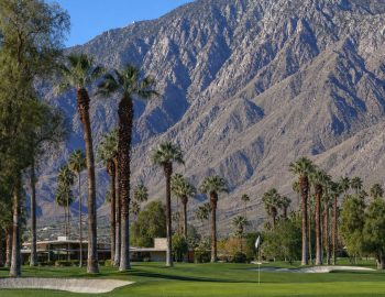 Indian Canyons Golf Resort fairway lined with mature fan palms below the San Jacinto Mountains, Palm Springs