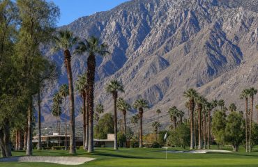 Indian Canyons Golf Resort fairway lined with mature fan palms below the San Jacinto Mountains, Palm Springs