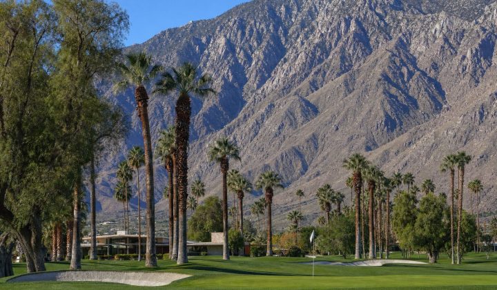 Indian Canyons Golf Resort fairway lined with mature fan palms below the San Jacinto Mountains, Palm Springs