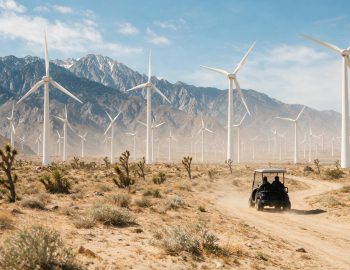 Palm Springs Windmill Tours in Palm Springs, California