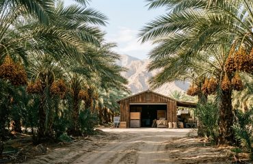 Shields Date Garden in Indio, California