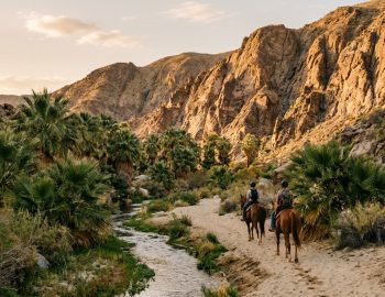 Smoke Tree Stables in Palm Springs, California