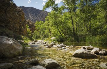 Whitewater Preserve in Whitewater, California