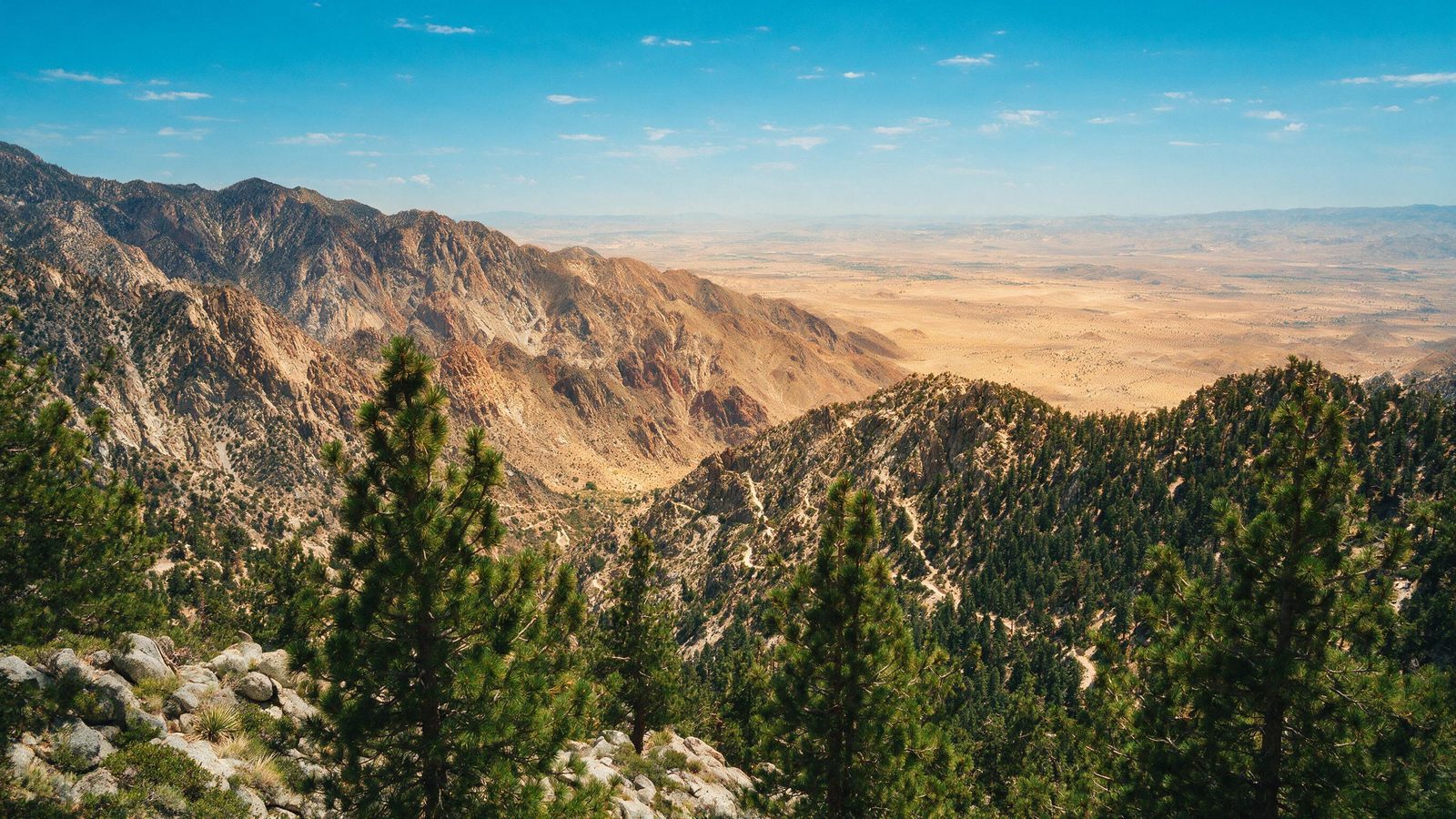 Riding the Palm Springs Aerial Tramway in Summer - Greater Palm Springs