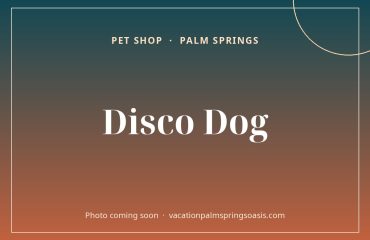 Disco Dog